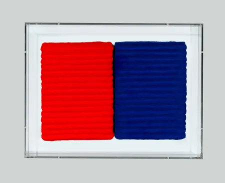 Non Tecnico Pinelli - Pittura R. BL