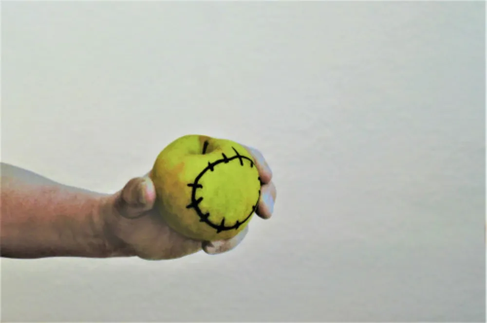 Serigrafia Pistoletto - La mela reintegrata