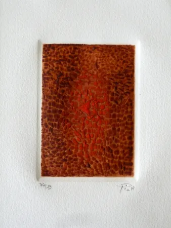 Acquaforte E Acquatinta Piza - Terre brulée