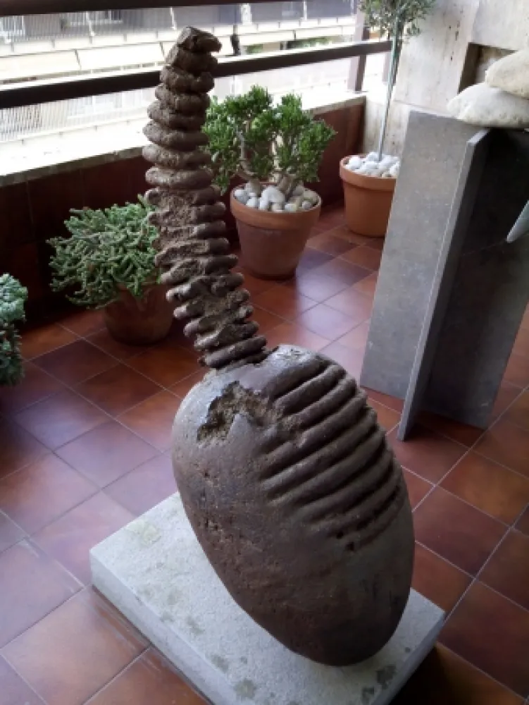 Non Tecnico Plensa - Cap - Teté