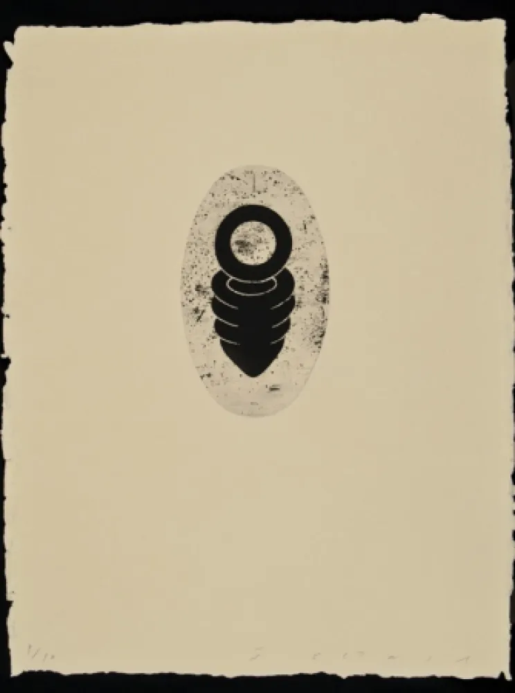 Acquaforte E Acquatinta Plensa - Suite Li