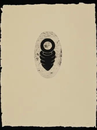 Acquaforte E Acquatinta Plensa - Suite Li