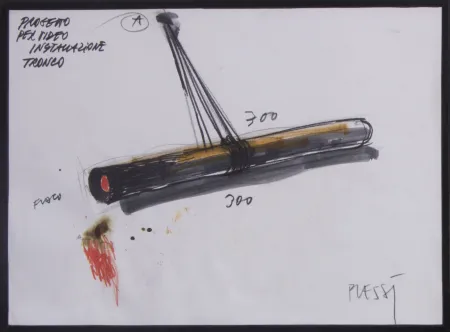 Non Tecnico Plessi - PROGETTO PER VIDEO INSTALLAZIONE TRONCO