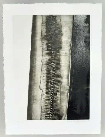 Acquatinta Pomodoro - Composizione