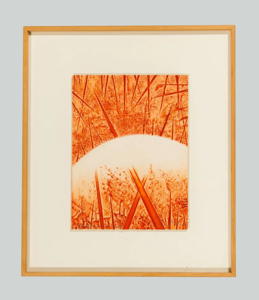 Rilievo Pomodoro - Composizione