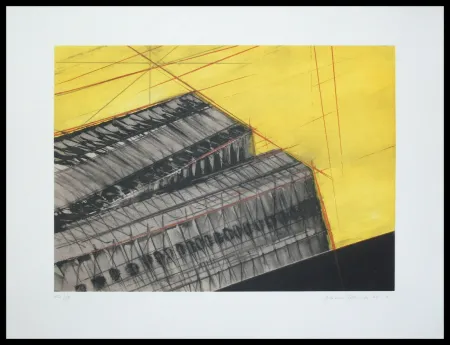 Acquaforte E Acquatinta Pomodoro - Composizione