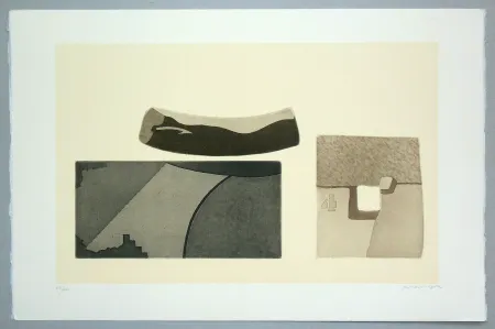 Incisione Pomodoro - Composizione (b)