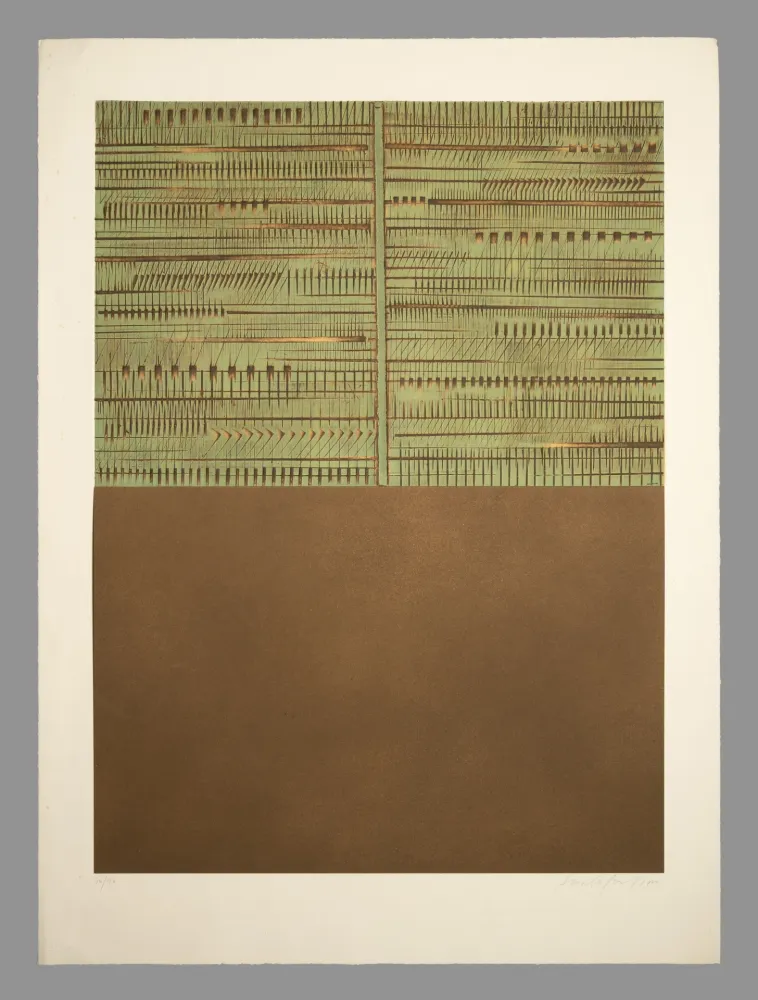 Rilievo Pomodoro - Immagine con risvolto