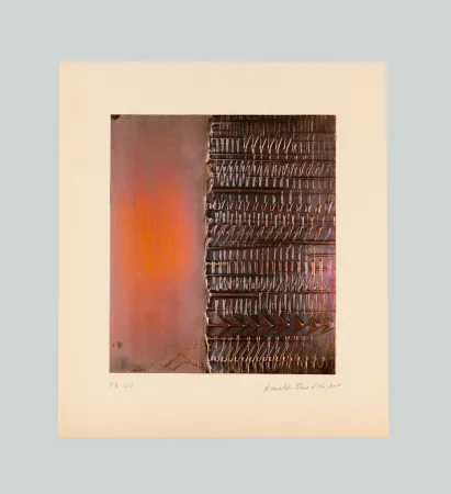 Rilievo Pomodoro - Lettera a metà