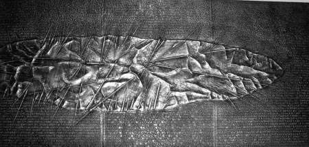 Libro Illustrato Pomodoro - Sette frammenti da l'Arte dell'uomo primordiale