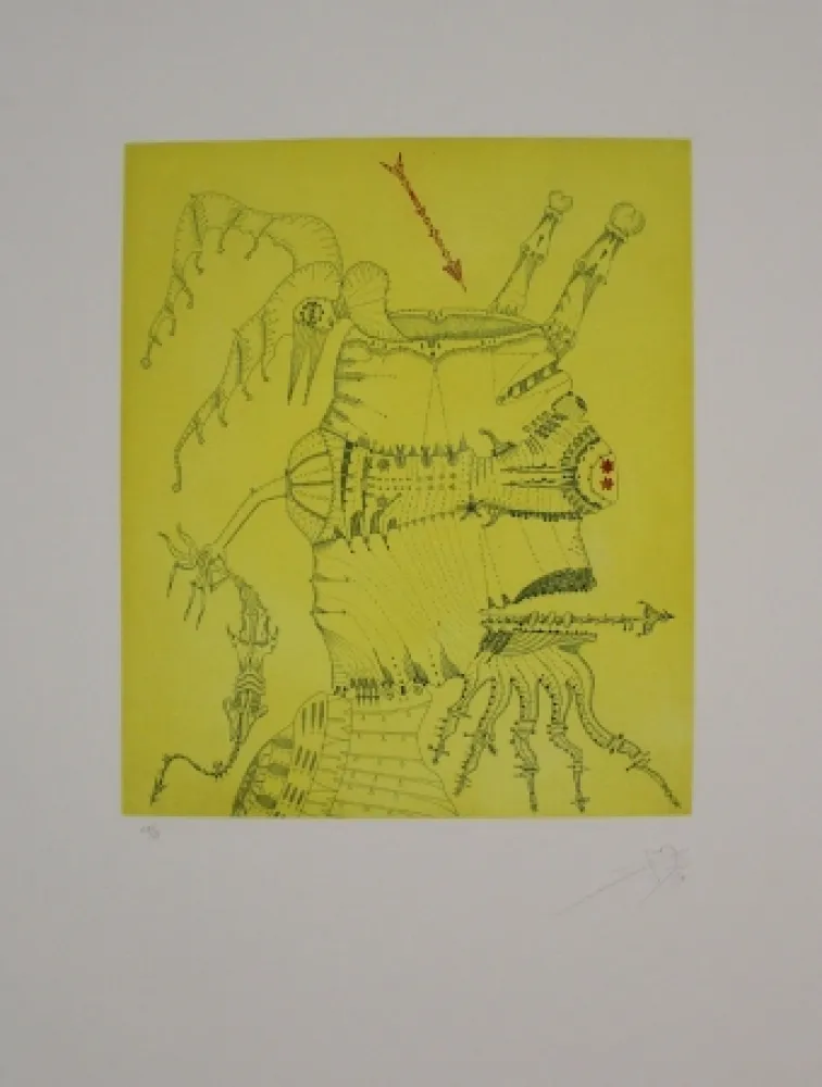 Acquaforte E Acquatinta Ponç - Homenaje a Dürer