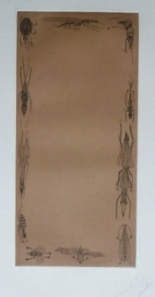 Acquaforte E Acquatinta Ponç - Kafka 10