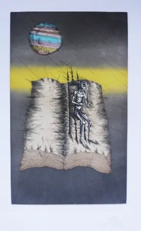 Acquaforte E Acquatinta Ponç - Quichotte 12