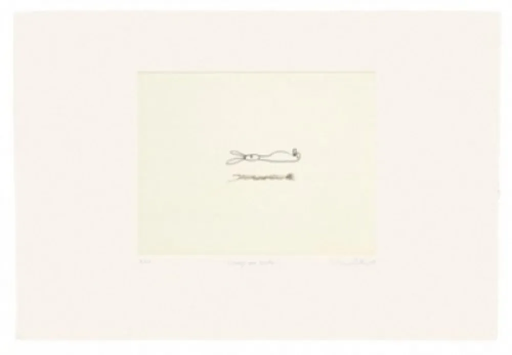 Incisione Porter - Conejo que levita