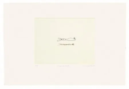 Incisione Porter - Conejo que levita