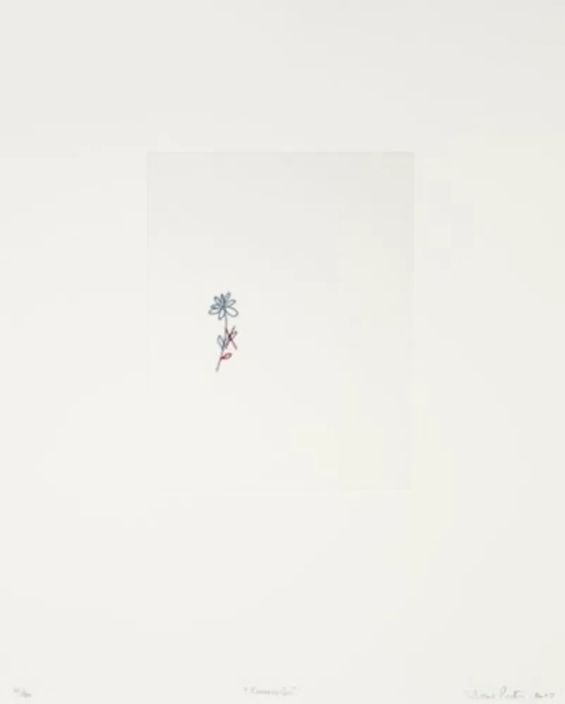 Incisione Porter - Corrección