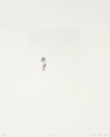 Incisione Porter - Corrección