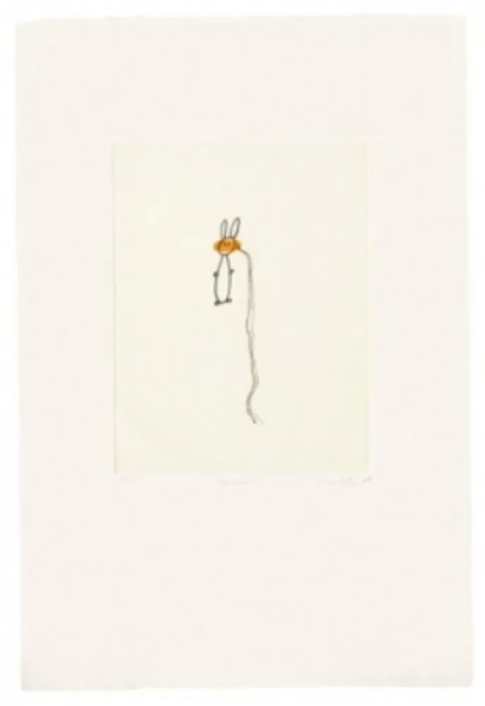 Incisione Porter - Máscara