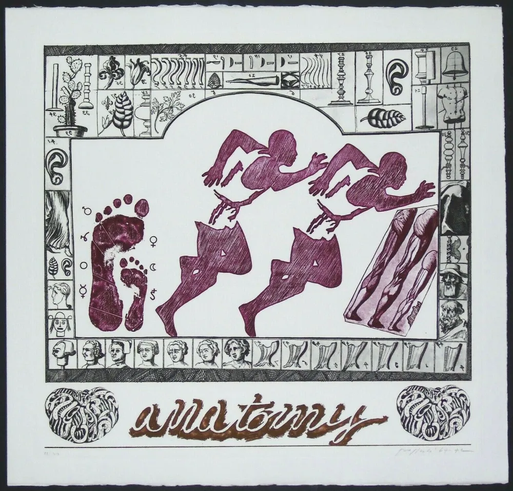 Incisione Pozzati - Anatomy