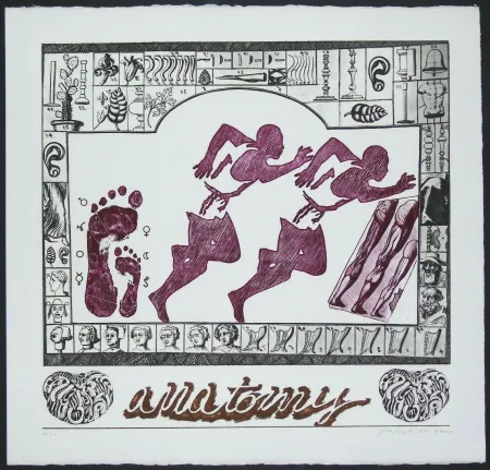 Incisione Pozzati - Anatomy