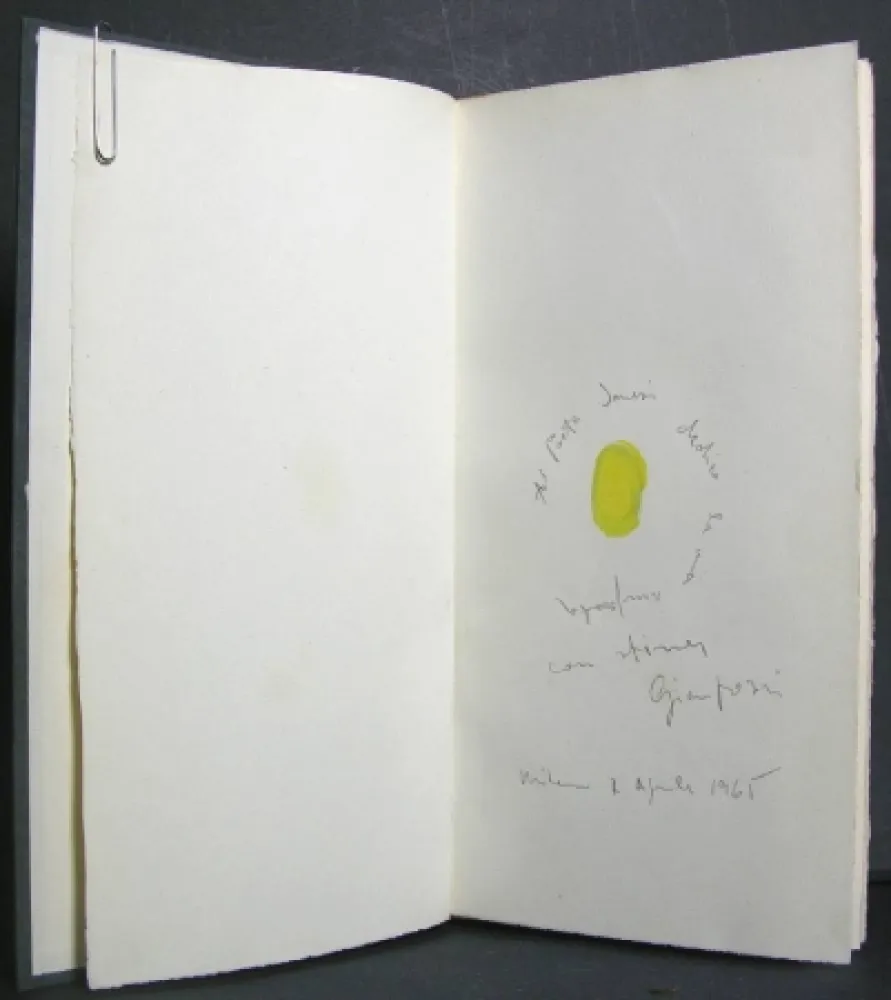 Libro Illustrato Pozzi - La dignità delle pietre