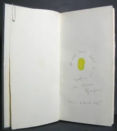 Libro Illustrato Pozzi - La dignità delle pietre