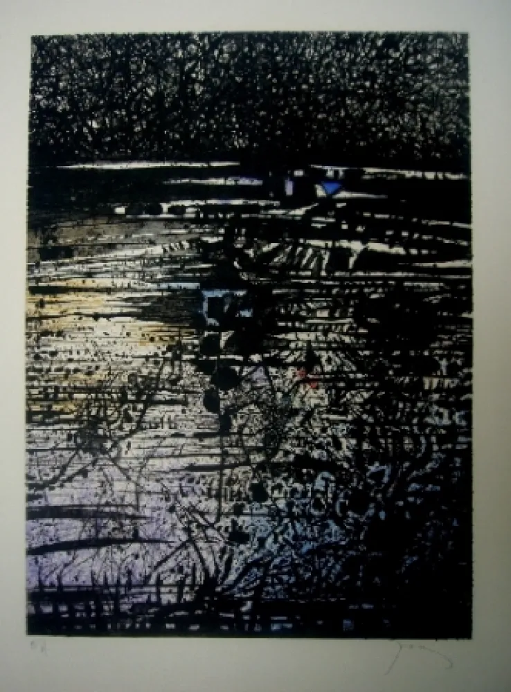 Acquaforte E Acquatinta Prassinos - L'étang