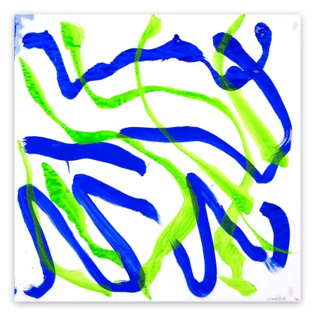 Non Tecnico Priest - Dolphin Dance 30