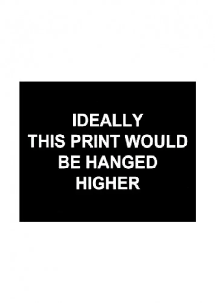 Incisione Prouvost  - Ideally this print would be hanged higher