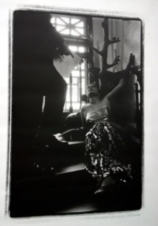 Multiplo Pushpamala - Phantom Lady #14