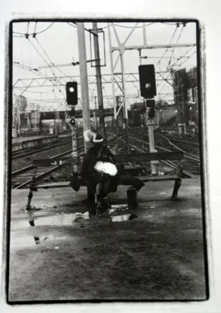 Multiplo Pushpamala - Phantom Lady #22