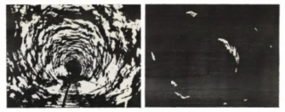 Incisione Su Legno Putrih - Reprojection II  (IIa et IIb)