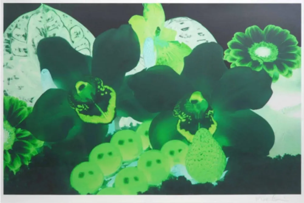 Multiplo Quinn - At the Far Edges of the Universe 7