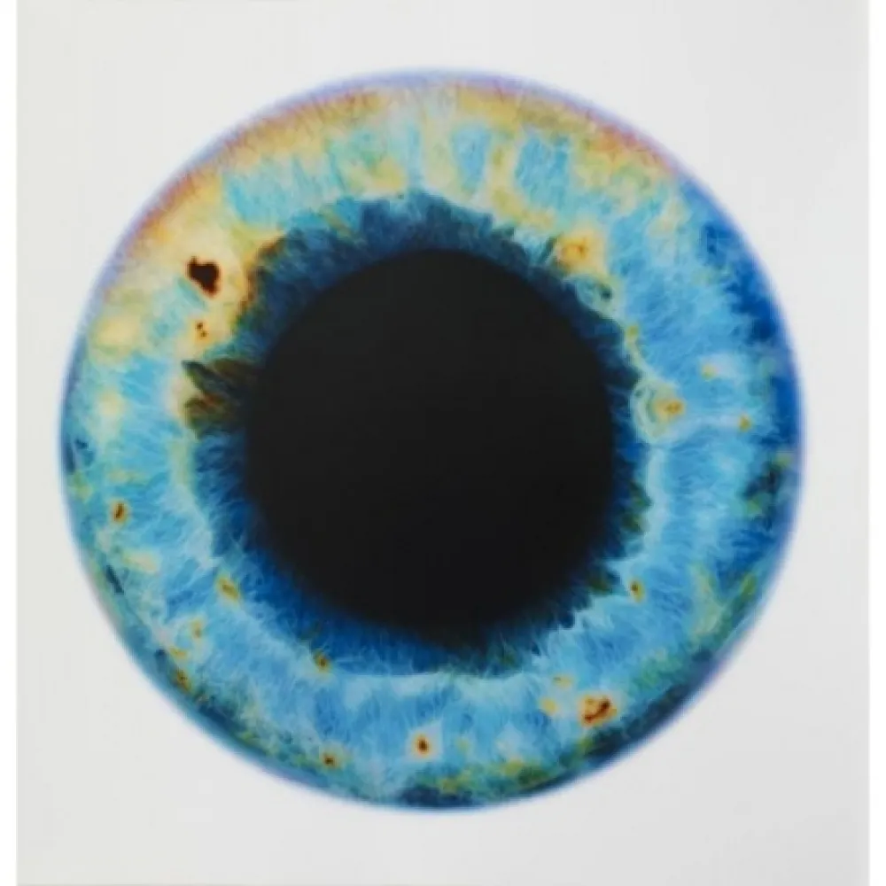 Non Tecnico Quinn - Blue Planet