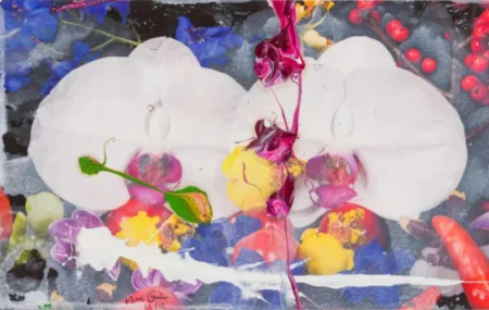 Multiplo Quinn - Orchids