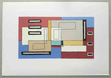 Serigrafia Radice - Composizione Tav. 10