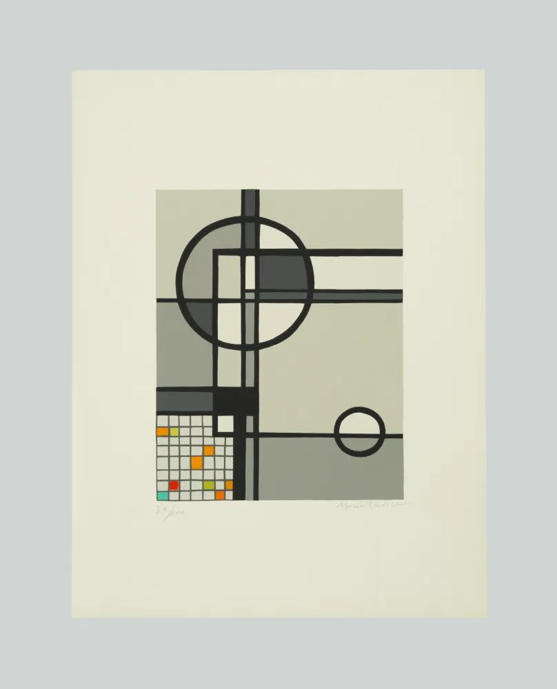 Serigrafia Radice - Le promesse d'un volto