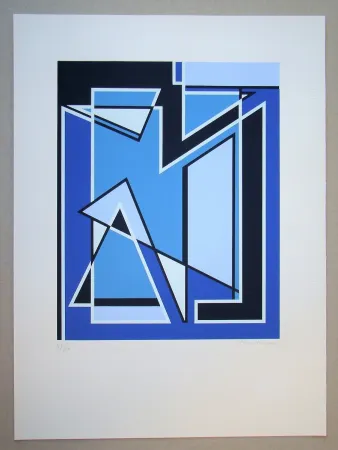 Serigrafia Radice - Senza Titolo