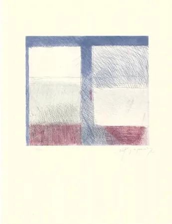 Acquaforte E Acquatinta Ràfols Casamada - Barcelona-8