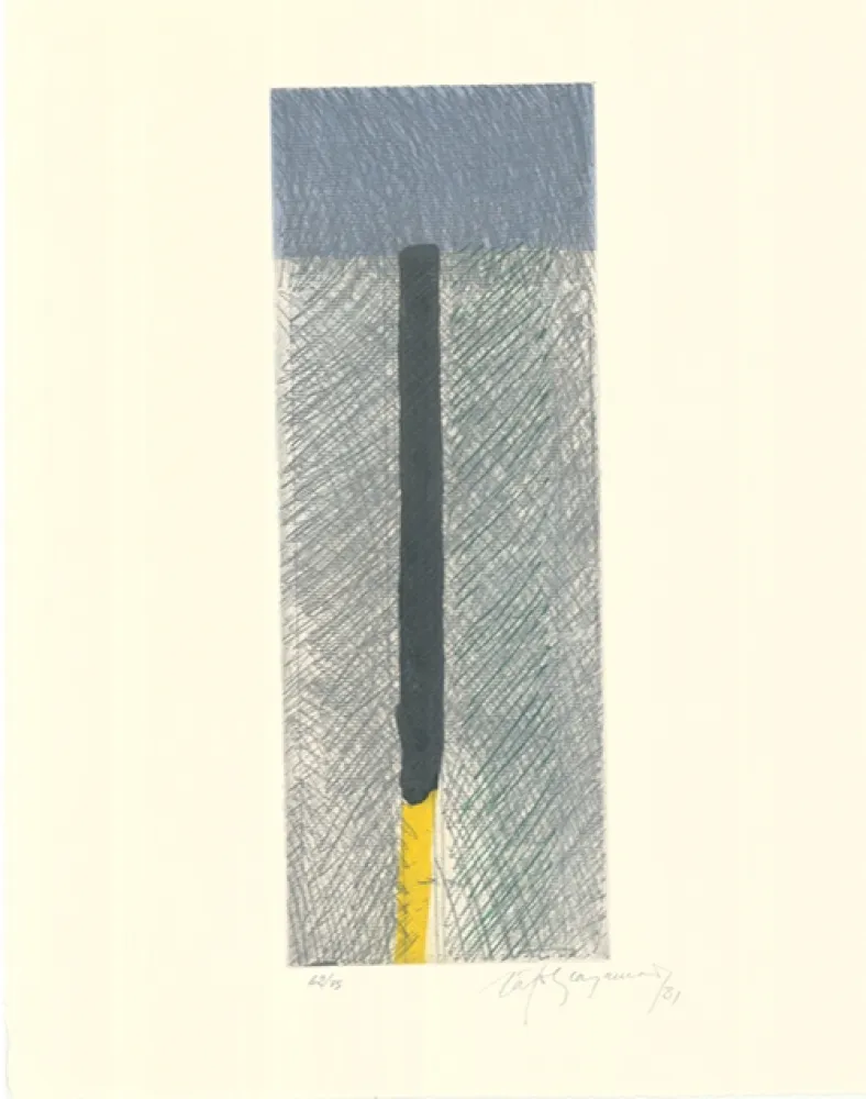 Acquaforte E Acquatinta Ràfols Casamada - Barcelona-9