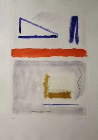 Acquaforte E Acquatinta Ràfols Casamada - Camí de primavera 1