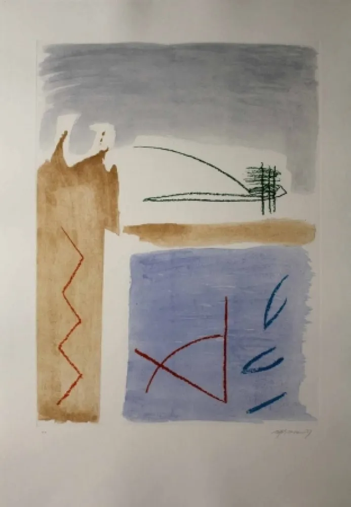 Acquaforte E Acquatinta Ràfols Casamada - Camí de primavera 5