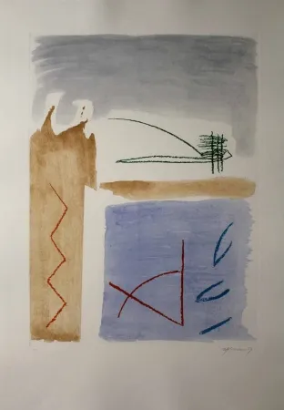 Acquaforte E Acquatinta Ràfols Casamada - Camí de primavera 5