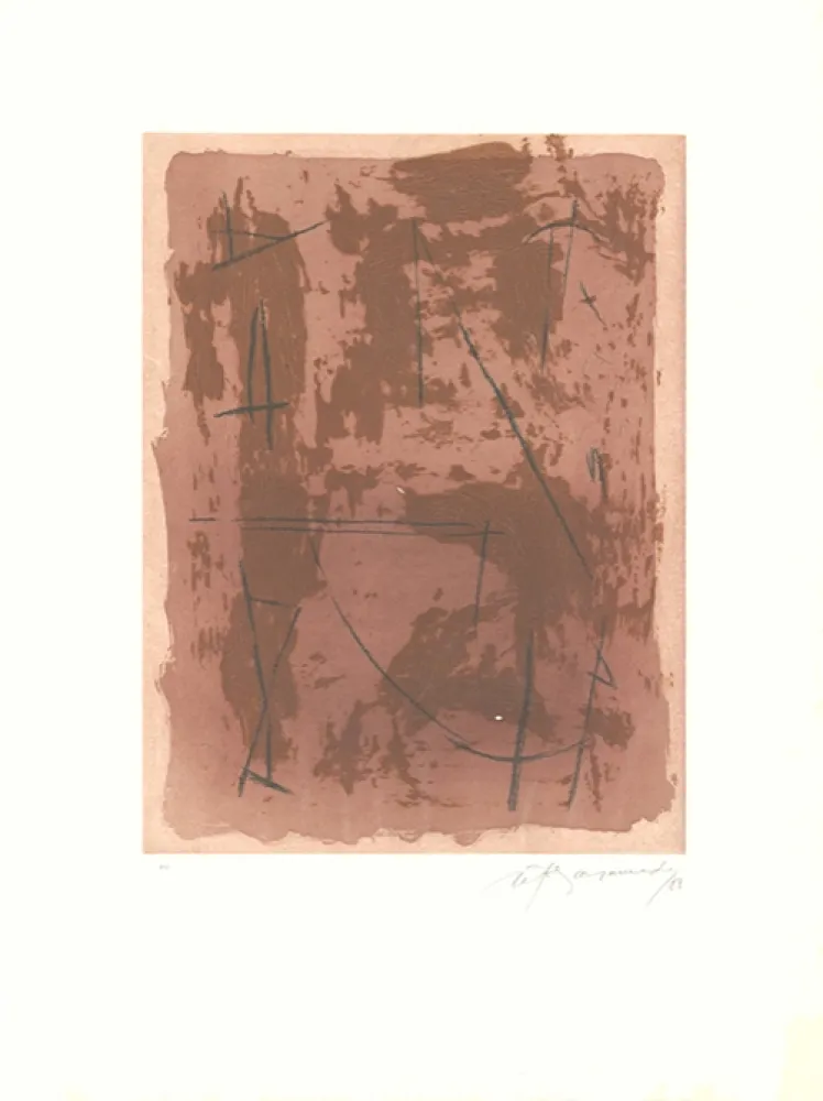 Acquaforte E Acquatinta Ràfols Casamada - Circ-1