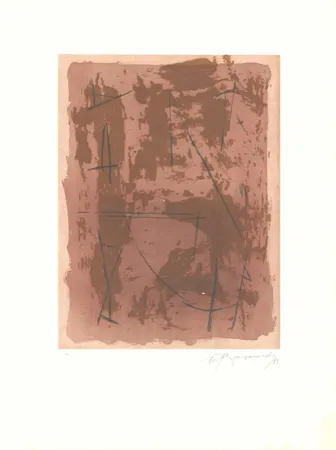 Acquaforte E Acquatinta Ràfols Casamada - Circ-1