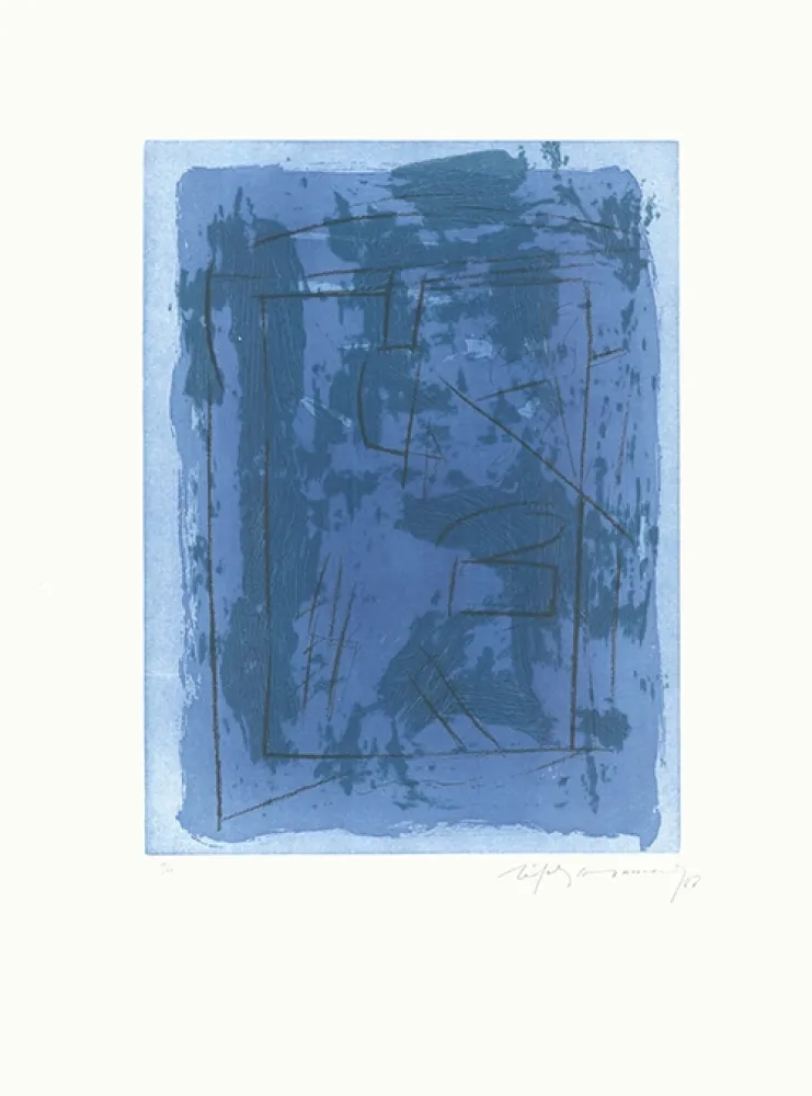 Acquaforte E Acquatinta Ràfols Casamada - Circ-2