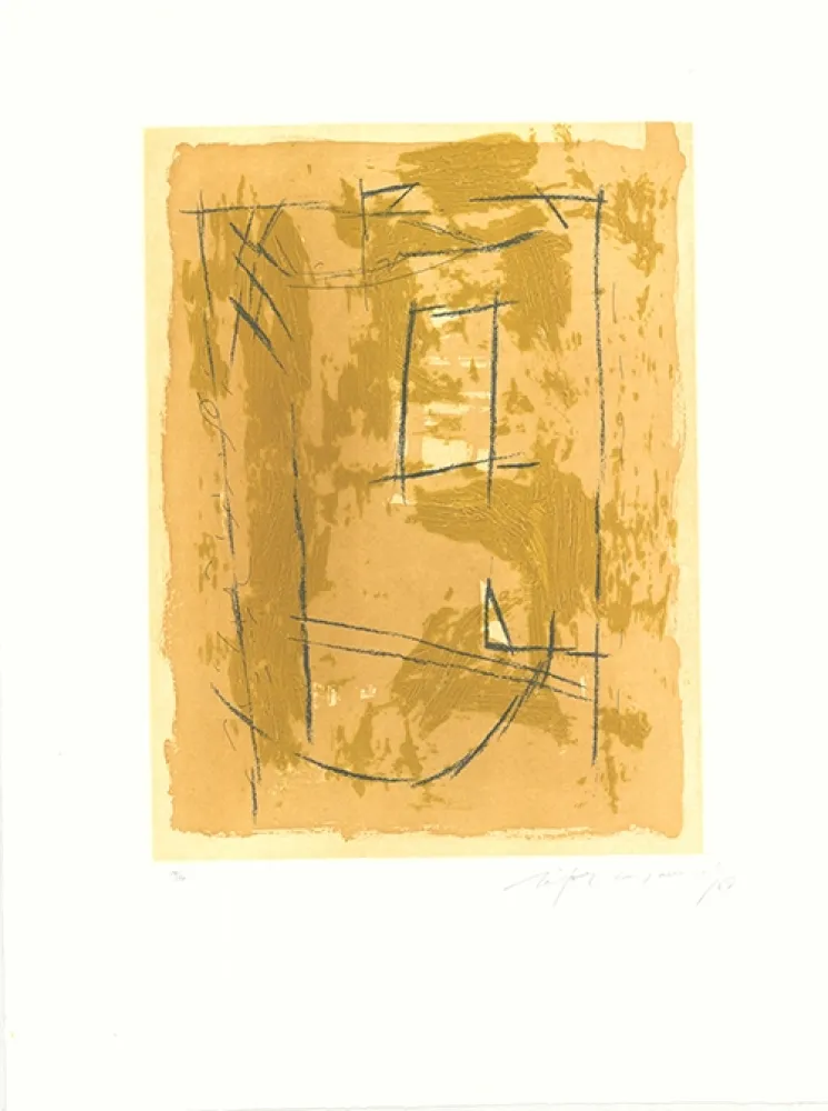 Acquaforte E Acquatinta Ràfols Casamada - Circ-4