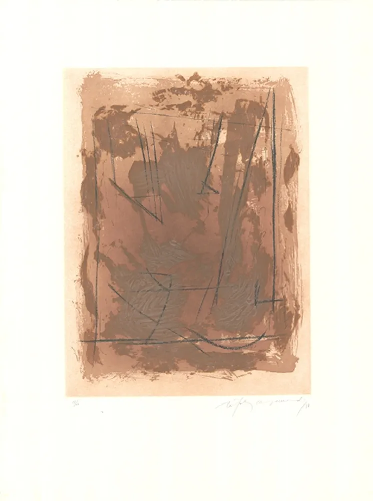 Acquaforte E Acquatinta Ràfols Casamada - Circ-6