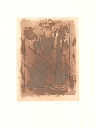 Acquaforte E Acquatinta Ràfols Casamada - Circ-6