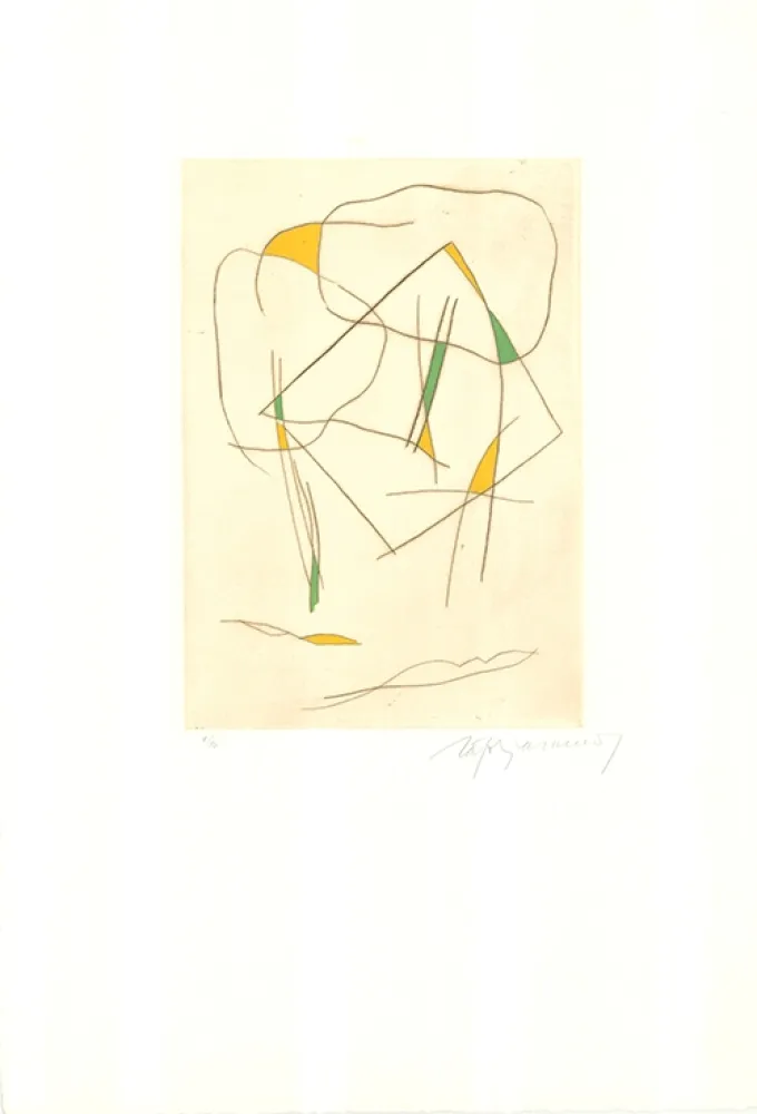 Acquaforte E Acquatinta Ràfols Casamada - El bosc-6